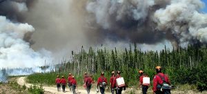 Summertime on the wildfire line